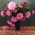 Pink Peonies in Purple Glass Vase on Wooden Table with Dark Background and Scattered Petals