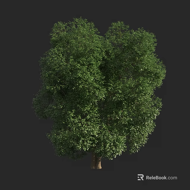 Lush Green Arbor With Dense Foliage And Strong Trunk In Natural Environment 3d model 