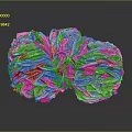 Coral Red Coral White Coral Blue Coral Gold Coral Black Coral Ball Coral Grass Coral Fine Finger Anemone 3d model