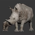 Large Adult Rhinoceros Standing With Small Baby Calf On Dark Reflective Surface