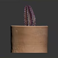 Decorative Terracotta Pot With Purple Cactus And Small Black Stones For Home Decor