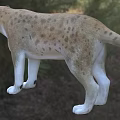 Modern Persian Leopard Anatolian Leopard Caucasian Leopard Animal Creatures 3d model