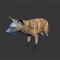 Realistic Striped Hyena 3D Model in Standing Pose on Neutral Background 3d model
