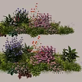 Colorful Mixed Plant Combination With Purple Pink Red Flowers And Green Foliage