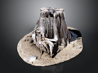 Ancient Tree Stump With Rough Wood Texture Surrounded By Dirt And Small Stones 3d model