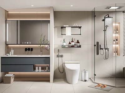 Modern Bathroom Interior Design With Vanity Mirror Toilet And Shower Area 3d model