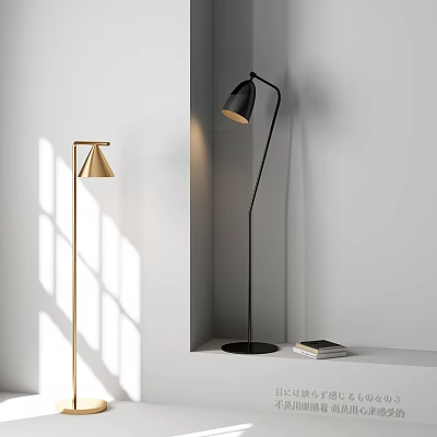 Modern Gold And Black Floor Lamps With Warm Light And Books On Shelf 3d model