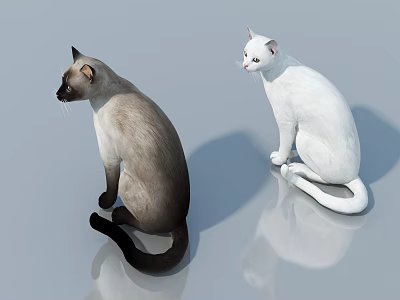 Two Reptiles Sitting On Gray Surface With Reflections And Natural Colors 3d model