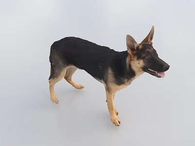 Brown And Green Reptile Standing On Light Background With Tongue Out 3d model