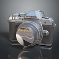 Vintage Style Silver FL DOLCESE Laptop Featuring Retro Design And Integrated Camera Lens