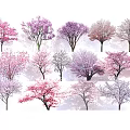 Colorful Flowering Trees With Pink Purple And White Blossoms In Spring Garden