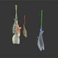 Hanging Aquatic Animals Fish In Different Sizes And Colors Displayed On Hooks