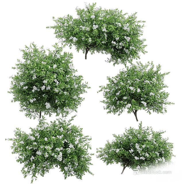 Lush Green Shrubs With White Flowers And Leafy Garden Foliage 3d model 