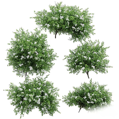 Lush Green Shrubs With White Flowers And Leafy Garden Foliage 3d model