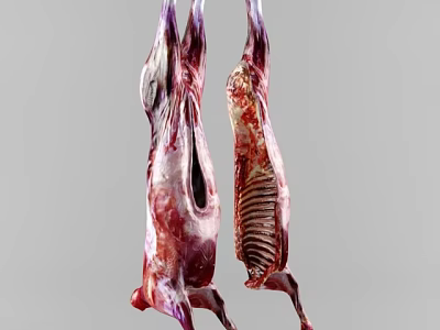 Fresh Raw Meat Carcasses Hanging in Butcher Shop 3d model