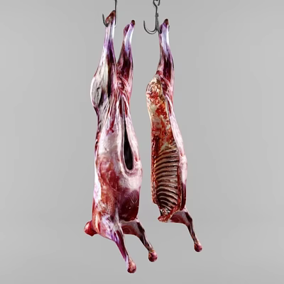 Meat 3d model