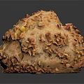 Homemade Nutty Bread Topped With Chopped Nuts Golden Brown Crust And Crunchy Texture