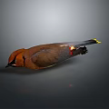 Flying Bird With Brown Head Body Black Wings Red Spots Yellow Tail On Gray Background