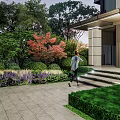 Night Garden Landscape With Paved Pathway Green Plants Red Maple Tree Trimmed Hedges And Lighting