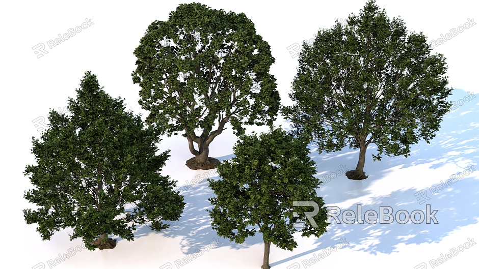 Plant Trees Landscape Trees Big Trees model