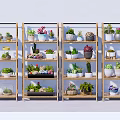 Assorted Bonsai and Potted Plants Display on Bamboo Shelves with Decorative Pots