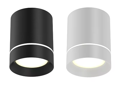 Modern Black And White Cylindrical Ceiling Lights With Sleek LED Design 3d model