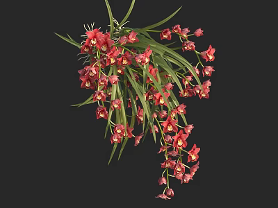 Vibrant Red Orchids With Lush Green Leaves Hanging In Natural 3d model