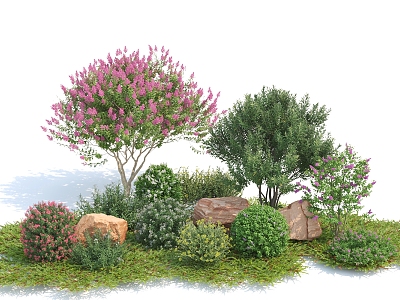 modern shrub plants flowers and plants 3d model