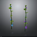 Green Stem Plants with Leaves Blue and Purple Flowers on Dark Background