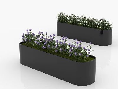 Contemporary Garden With Black Rectangular Planters Purple Flowers And Green Foliage 3d model