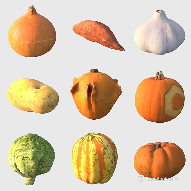 Different Types of Fresh Vegetables Including Pumpkin Sweet Potato Garlic Potato Cabbage and Squash 3d model 