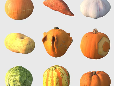 Different Types of Fresh Vegetables Including Pumpkin Sweet Potato Garlic Potato Cabbage and Squash 3d model