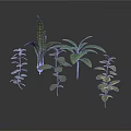 Green Plants With Various Leaf Shapes And Heights On White Background