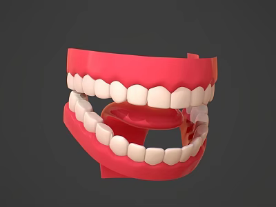 Human Teeth 3D Model with Red Gums White Enamel Upper and Lower Jaw Structure 3d model