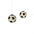 Sports Equipment Featuring Classic Black and White Soccer Balls for Training Games