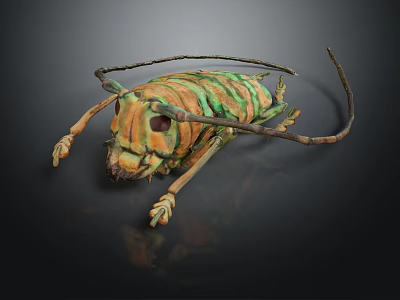 Green And Yellow Striped Insect With Long Antennae And Legs On Black Background 3d model
