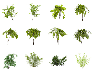 Modern shrubs 3d model