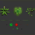 Various Green Tropical Plants Including Palm Trees Vine Decor And Small Potted Plants