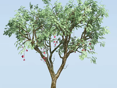 Lush Tree With Green Foliage And Red Fruits Against Blue Sky 3d model