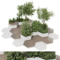 Modern Hexagonal Tree Planters with Various Green Plants Wooden White Structures and Paving Design