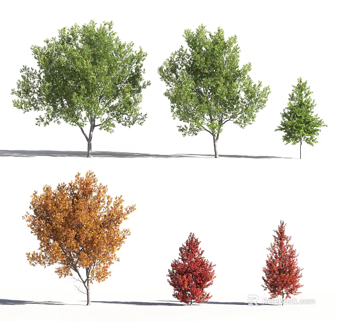 Various Arbor Trees With Green Orange Red Foliage And Different Canopy Shapes 3d model