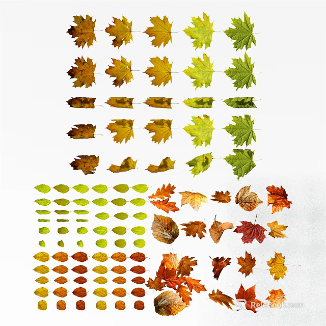 Vibrant Autumn Foliage In Various Shapes For Creative Garden Decor 3d model 