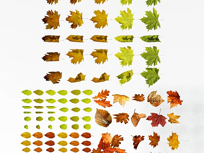 Vibrant Autumn Foliage In Various Shapes For Creative Garden Decor 3d model