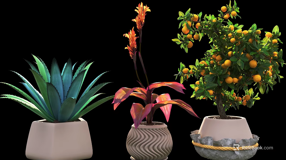 Decorative Potted Plants In White Wavy And Stone Pots With Green Leaves Flowers And Fruit 3d model 