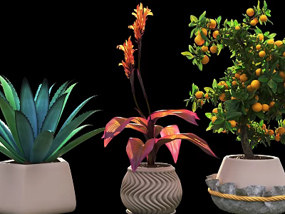 Decorative Potted Plants In White Wavy And Stone Pots With Green Leaves Flowers And Fruit 3d model