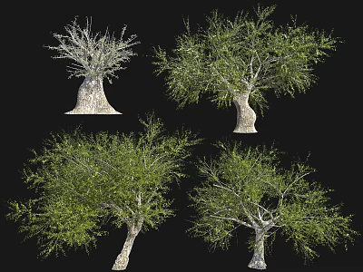 Various Arbor Types Showcasing Dense Green Foliage and Unique Trunk Textures 3d model