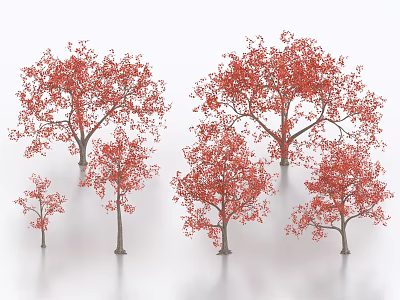 Red Leaf Trees Collection With Various Sizes And Vibrant Foliage For Landscaping 3d model