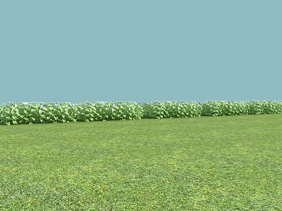 Green Plants Neatly Arranged With Lush Grass Under Light Blue Sky 3d model