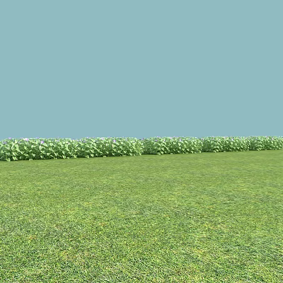 Green Plants Neatly Arranged With Lush Grass Under Light Blue Sky 3d model