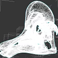 Detailed 3D Rendered Reptile Skull Anatomical Structure On Dark Background
